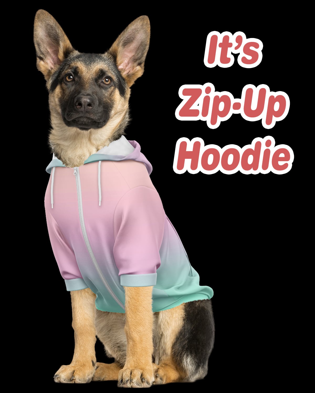 Personalised dog coats ebay best sale